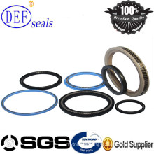 PTFE Spring Energized Seals Loaded Seals for Srtandard Cylinder